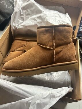 UGG Chestnut Suede Short Boot - Classic Tan Sole Brand new in box